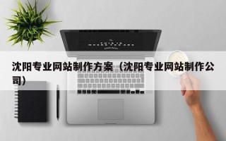 怒江沈阳专业网站制作方案（沈阳专业网站制作公司）